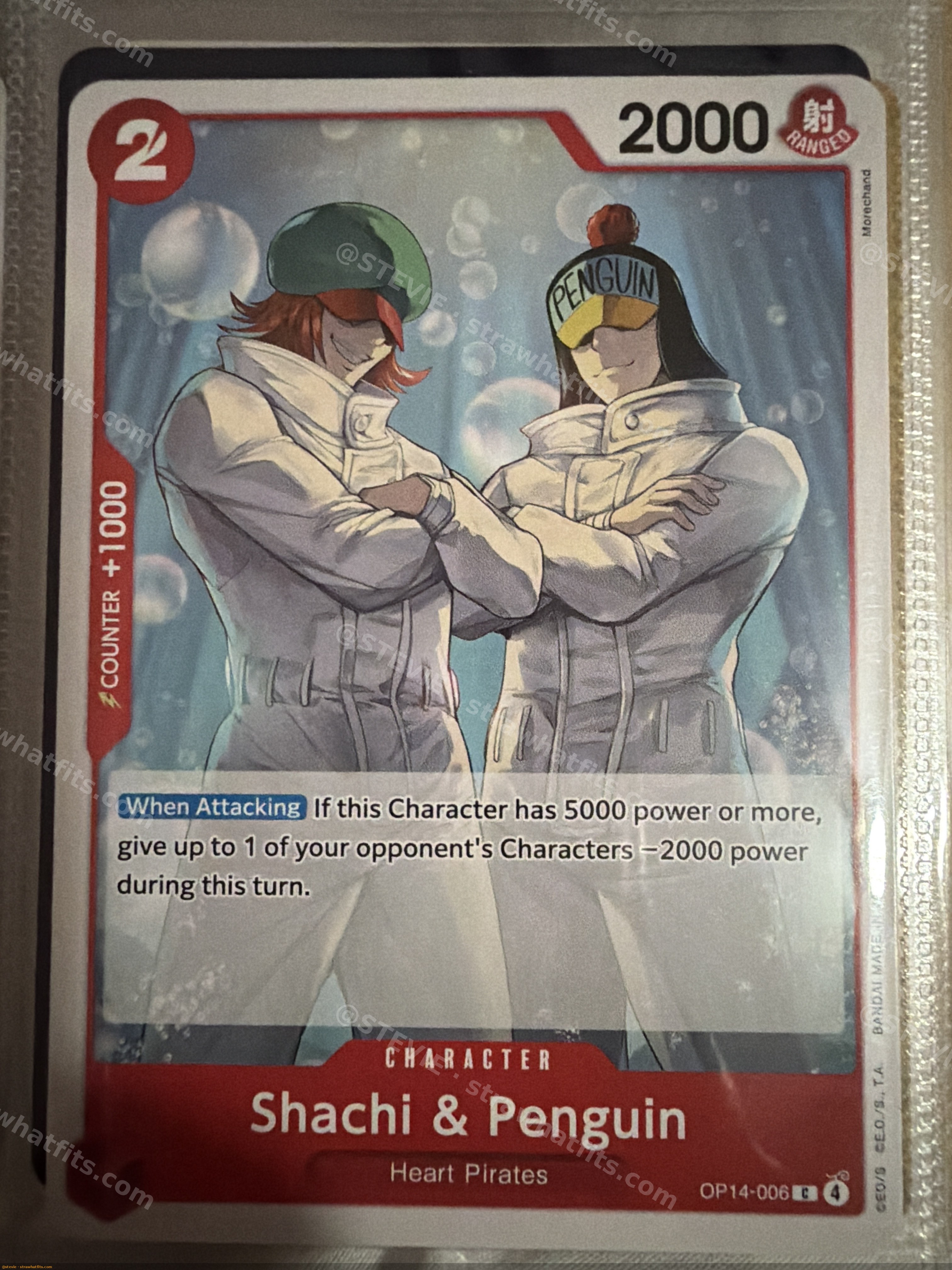 Shachi & Penguin 2000